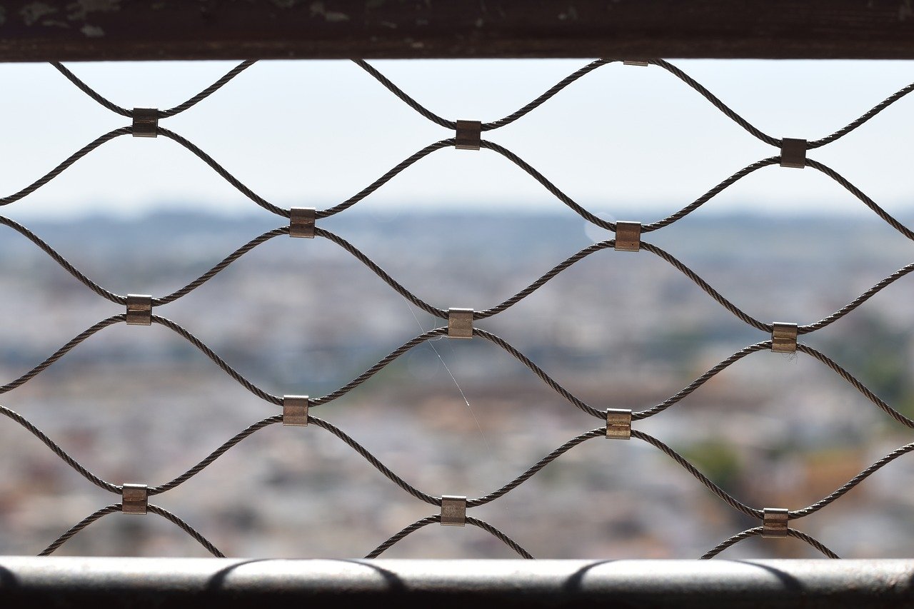 如何使用Google+提高SEO排名