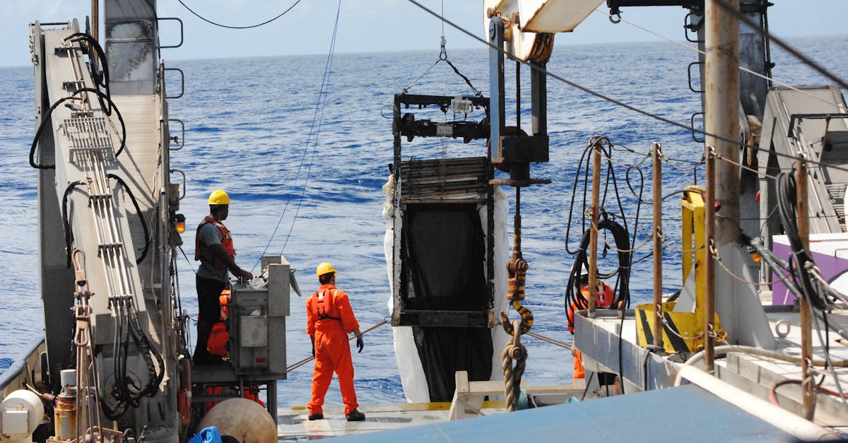 恒创科技实名账号：潘豆app详情下载教程