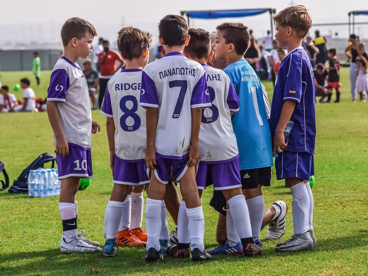 京东通信实名账号：如何使用流量卡实现可持续发展、绿色环保和社会责任？