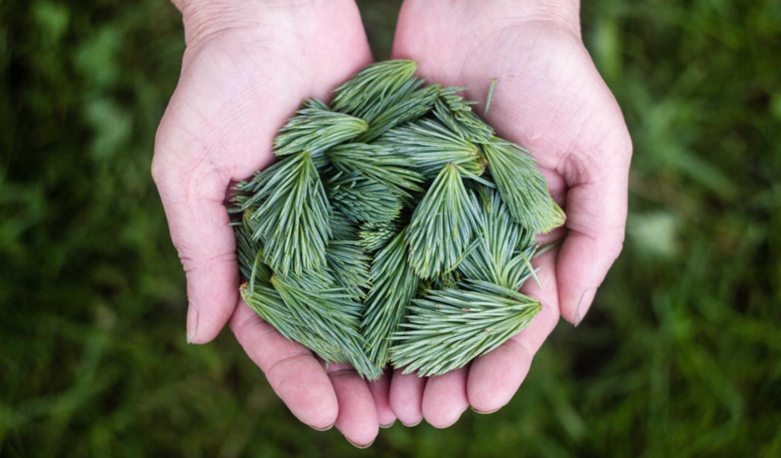 解读DDOS洪流攻击- 陕西代理注册