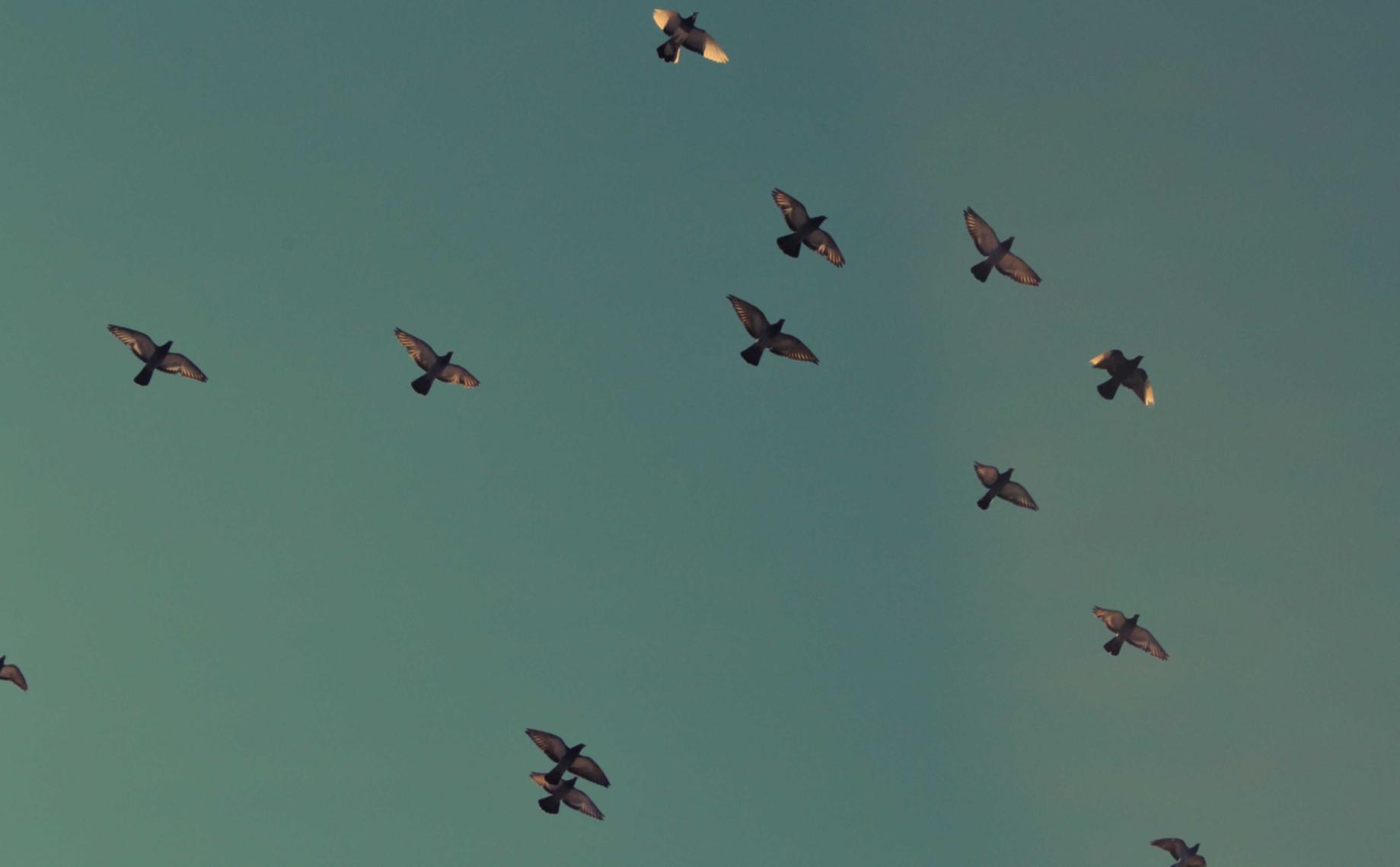 宇宙ip实名账号:实名账号是否能够防止网络暴力事件?