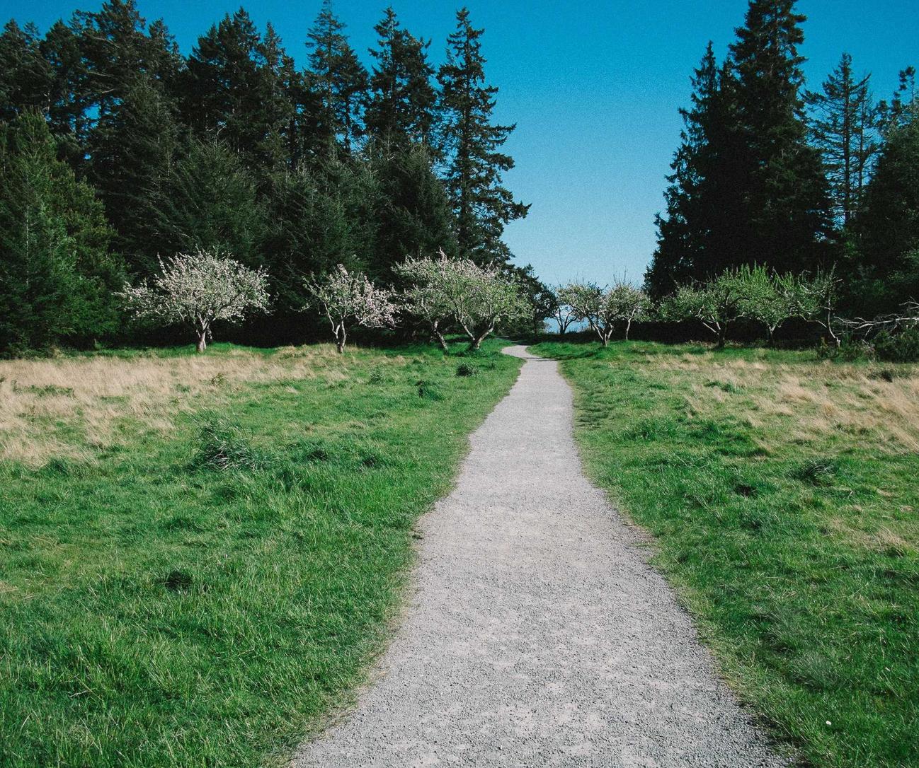 短信和金融：如何混合使用