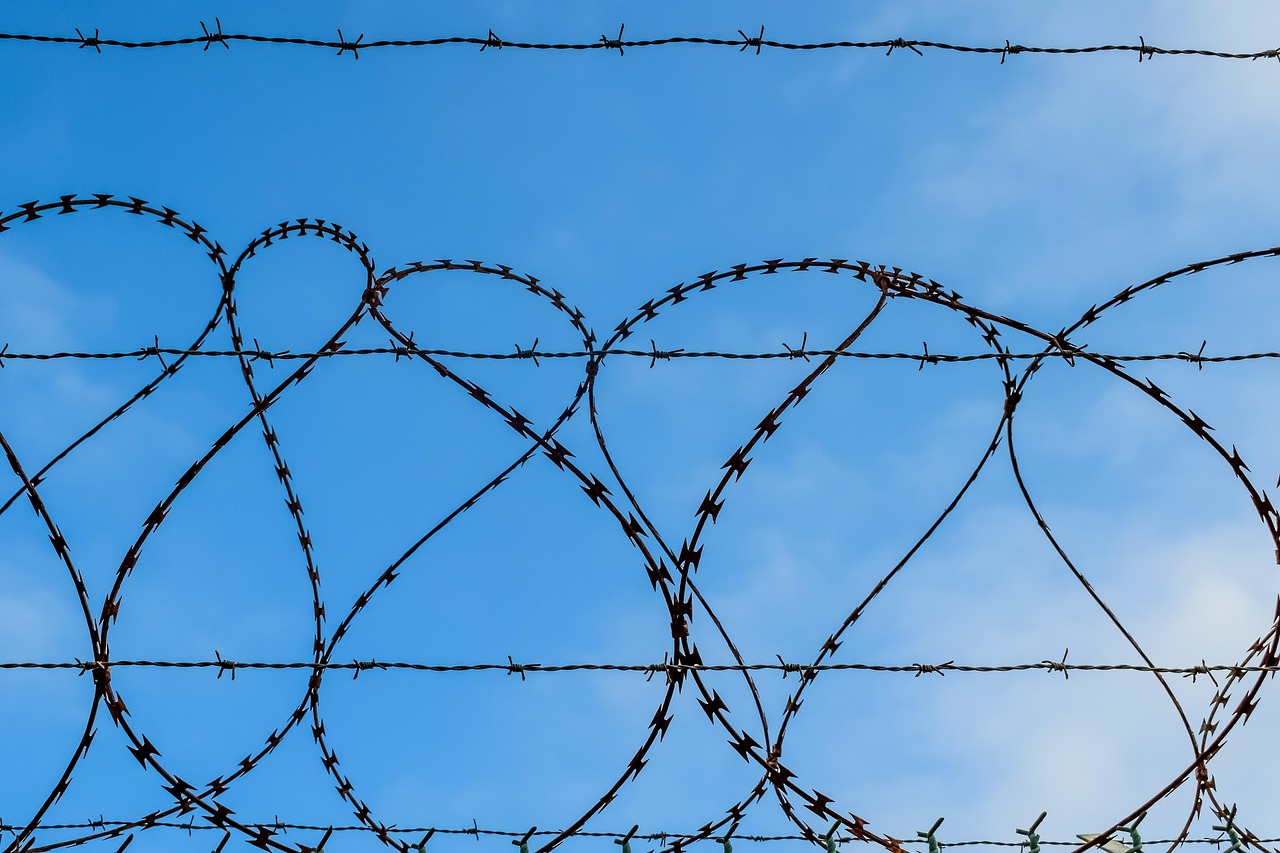 西部数码实名账号:详情下载教程刷多多app